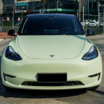 Ravoony Plus Gloss Avocado Green Car Vinyl Wrap