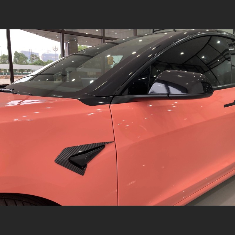 Ravoony Plus Glossy Paggy Pink Car Vinyl Wrap
