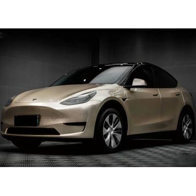  Ravoony Plus Glossy Metal Champaign Dark Gold Car Wrap 02