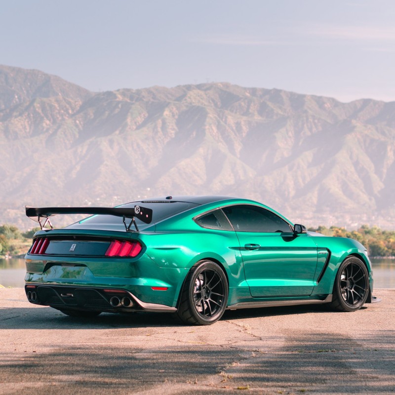 Ravoony Plus PET Gloss Paint Metallic Isle Of Man Green Car Vinyl Wrap