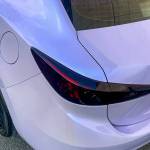 Ravoony Plus Twin Silver Purple Car Vinyl Wrap