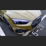 Ravoony Plus Glossy Crystal Fir Green Car Vinyl Wrap