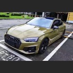 Ravoony Plus Glossy Crystal Fir Green Car Vinyl Wrap