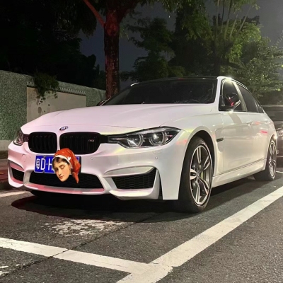 Ravoony Plus Glossy Diamond Gold White Car Wrap 02