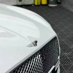 Ravoony Pro TPU Gloss Crystal White PPF Film