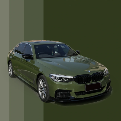 Ravoony Basic Glossy Olive Light Green Car Wrap 02