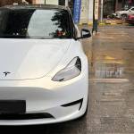 Ravoony Pro TPU Gloss Pearlized White Gold PPF Film