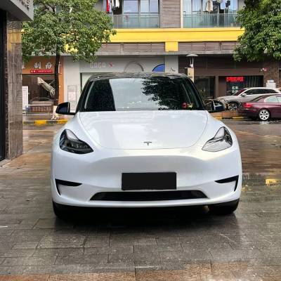 Ravoony Pro TPU Gloss Pearlized White Gold PPF Film 02