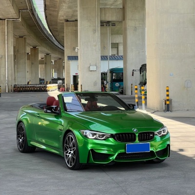  Ravoony Basic Glossy Metal Flame Green Vinyl Car Wrap 02