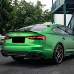 Ravoony Basic Ultra-Matte Flame Green Car Wrap