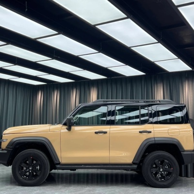 Ravoony Basic Gloss Sandstorm Car Wrap 02