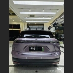 Ravoony Plus PET Gloss Spiritual Realm Purple Car Wrap