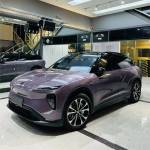Ravoony Plus PET Gloss Spiritual Realm Purple Car Wrap