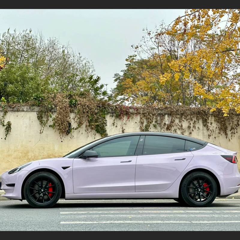 Ravoony Plus PET Glossy Haze Grey Purple Car Wrap