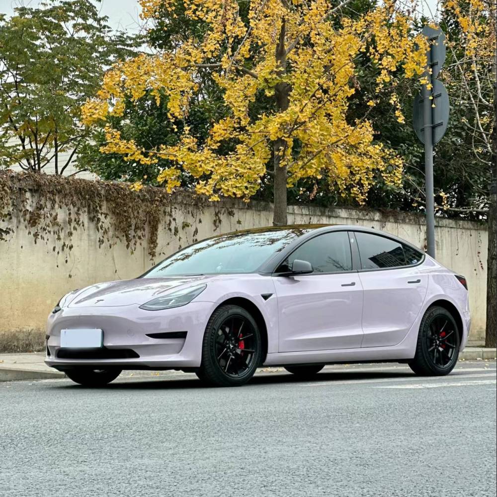 Ravoony Plus PET Glossy Haze Grey Purple Car Wrap