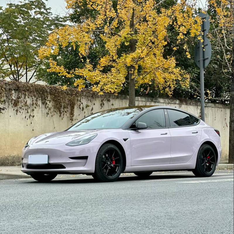 Ravoony Plus PET Glossy Haze Grey Purple Car Wrap