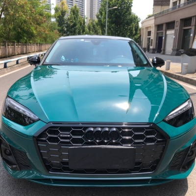 Ravoony Basic Audi Gloss Goodwood Green Vinyl Car Wrap 02