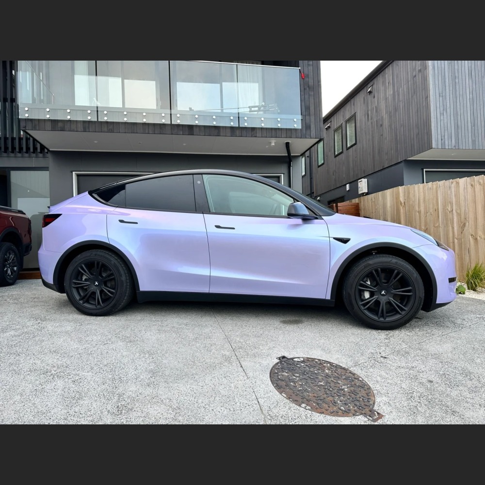 Ravoony Basic Twin Silver Purple Car Vinyl Wrap
