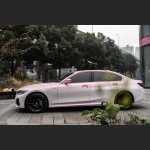 Ravoony Basic Glossy Flower Pink Car Wrap