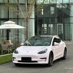 Ravoony Pro TPU Glossy Mary Kay Pink Car PPF Film