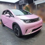 Ravoony Basic Gloss Macaron Cherry Pink Vinyl Car Wrap