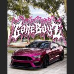 Ravoony Plus PET Glossy Metallic Rubellite Purple Vinyl Wrap
