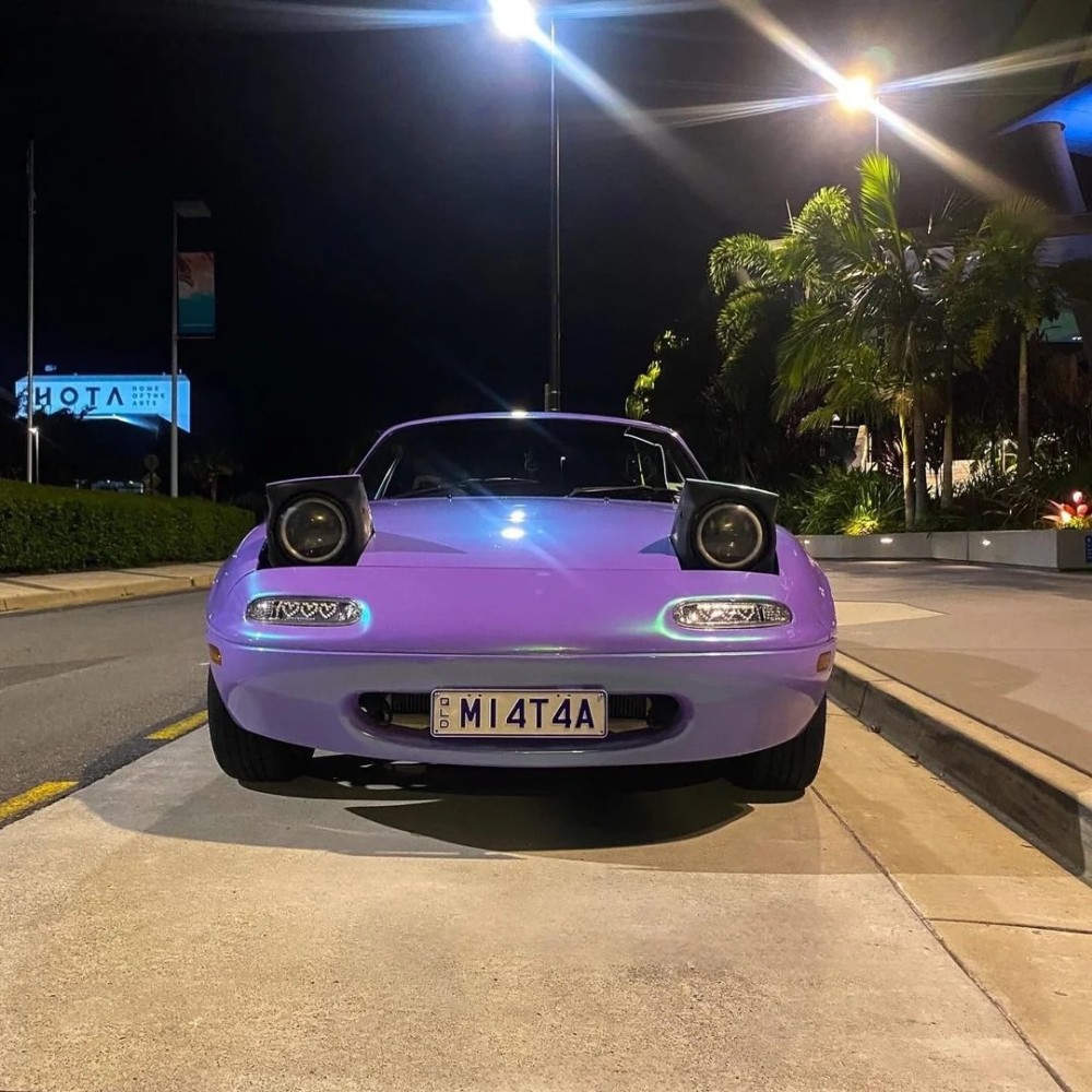 Ravoony Plus Twin Candy Purple Green Car Wrap