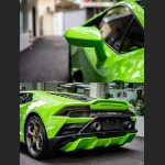 Ravoony Plus Lime Green Vinyl Wrap