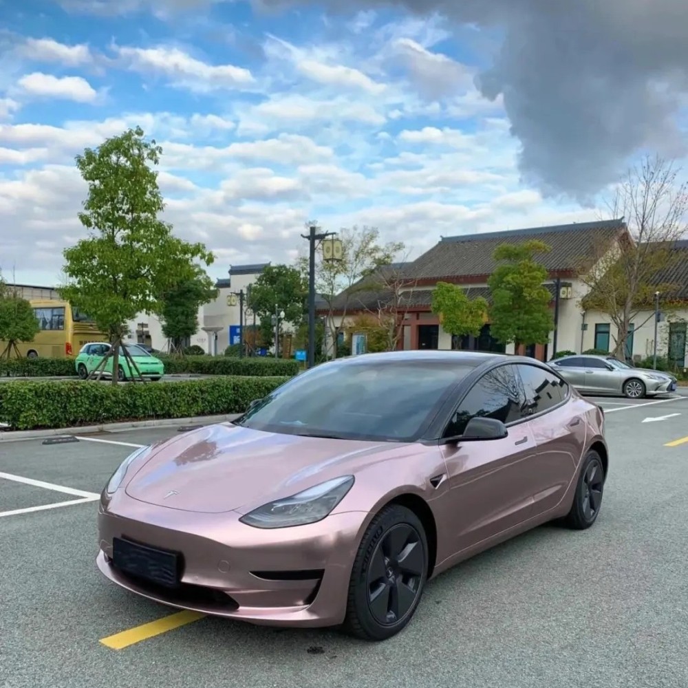 Ravoony Plus Glossy Frozen Berry Wrap
