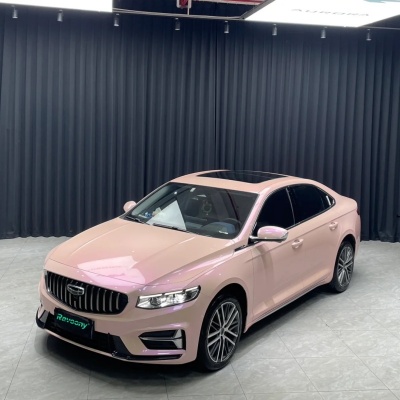 Ravoony Plus Twin Magic Pink Car Vinyl Wrap 02