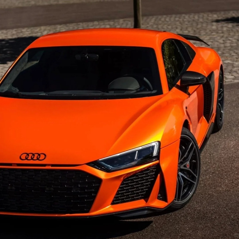 Ravoony Plus Burnt Orange Car Wrap