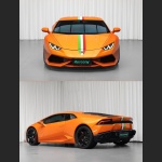 Ravoony Plus Burnt Orange Car Wrap