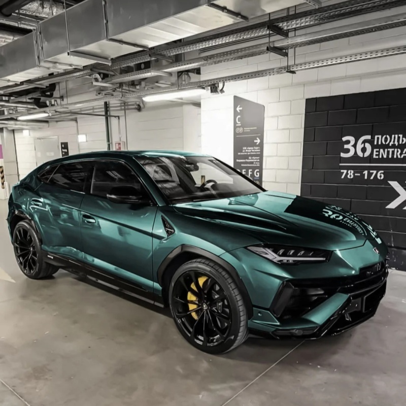 Ravoony Basic Gloss Metallic Ryan Green Car Wrap