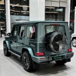 Ravoony Basic Gloss Metallic Ryan Green Car Wrap