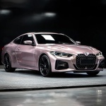 Ravoony Plus Glossy Frozen Berry Wrap