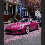 Ravoony Plus Gloss Star Ruby Car Vinyl Wrap