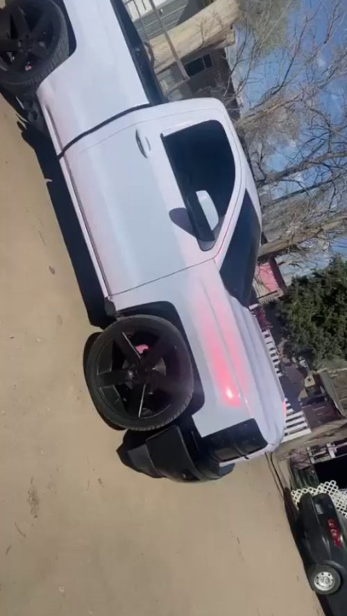 Ravoony Plus Glossy Flower Pink Car Wrap review Paloma Campa 00