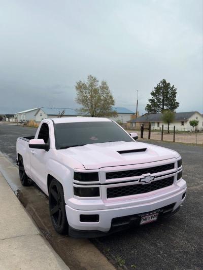 Ravoony Plus Glossy Flower Pink Car Wrap review Paloma Campa 03