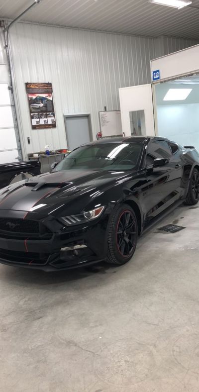 Ravoony Plus PET High Gloss Black Car Wrap review Stephanie Stambaugh