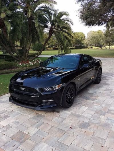 Ravoony Plus Glossy Crystal Black Car Vinyl Wrap review Chasitie Marks