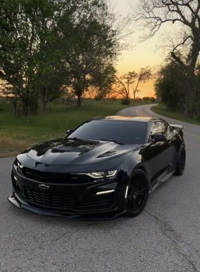 Ravoony Plus PET High Gloss Black Car Wrap review Shireen Yahyazadeh