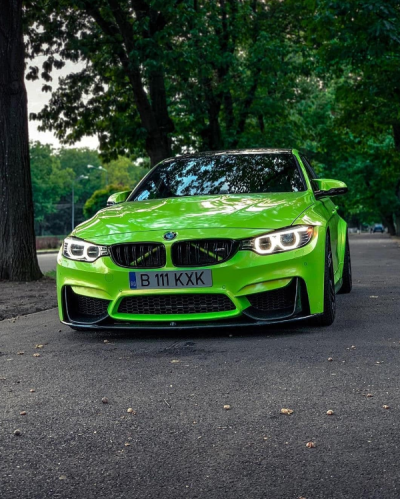 Ravoony Plus Kelly Green Vinyl Wrap review kazra amirrezvani