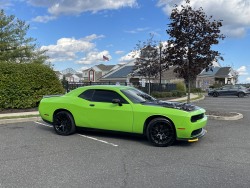 Ravoony Plus Lime Green Vinyl Wrap review Igor Sko 02