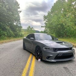 Ravoony Plus Gloss Nardo Grey Wrap review Cameron Robertson