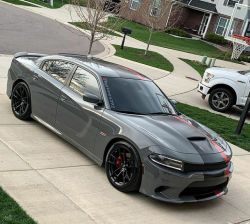 Ravoony Plus Gloss Nardo Grey Wrap review Mauro Garcia