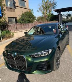 Ravoony Plus Blackish Green Car Vinyl Wrap review Sarah frantz 02