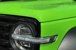 Ravoony Plus Lime Green Vinyl Wrap review Lisa Rossetti 02