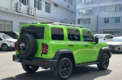 Ravoony Plus Lime Green Vinyl Wrap review Lisa Rossetti 01