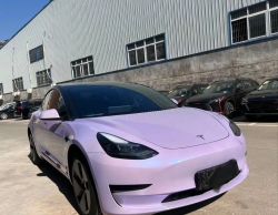 Ravoony Plus Twin Silver Purple Car Vinyl Wrap review Riley Sterling 01