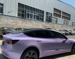 Ravoony Plus Twin Silver Purple Car Vinyl Wrap review Riley Sterling 02